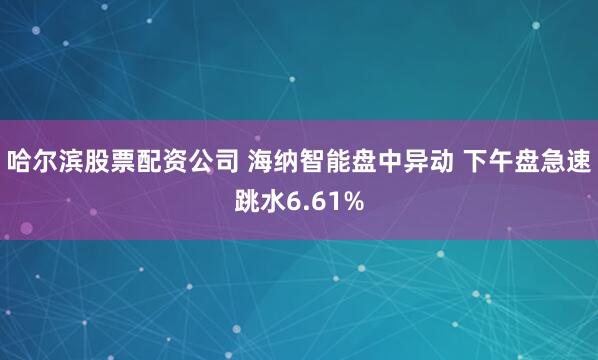 哈尔滨股票配资公司 海纳智能盘中异动 下午盘急速跳水6.61%