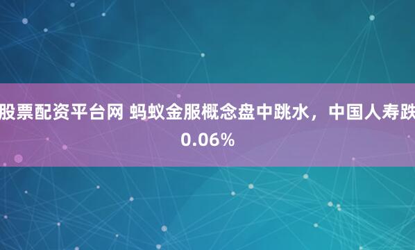 股票配资平台网 蚂蚁金服概念盘中跳水，中国人寿跌0.06%