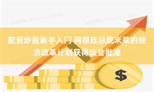 配资炒股新手入门 阿根廷总统米莱的经济改革计划获得议会批准
