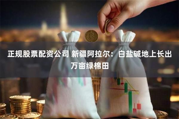 正规股票配资公司 新疆阿拉尔：白盐碱地上长出万亩绿棉田