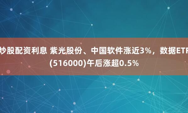 炒股配资利息 紫光股份、中国软件涨近3%，数据ETF(516000)午后涨超0.5%