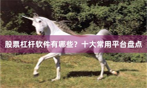 股票杠杆软件有哪些？十大常用平台盘点